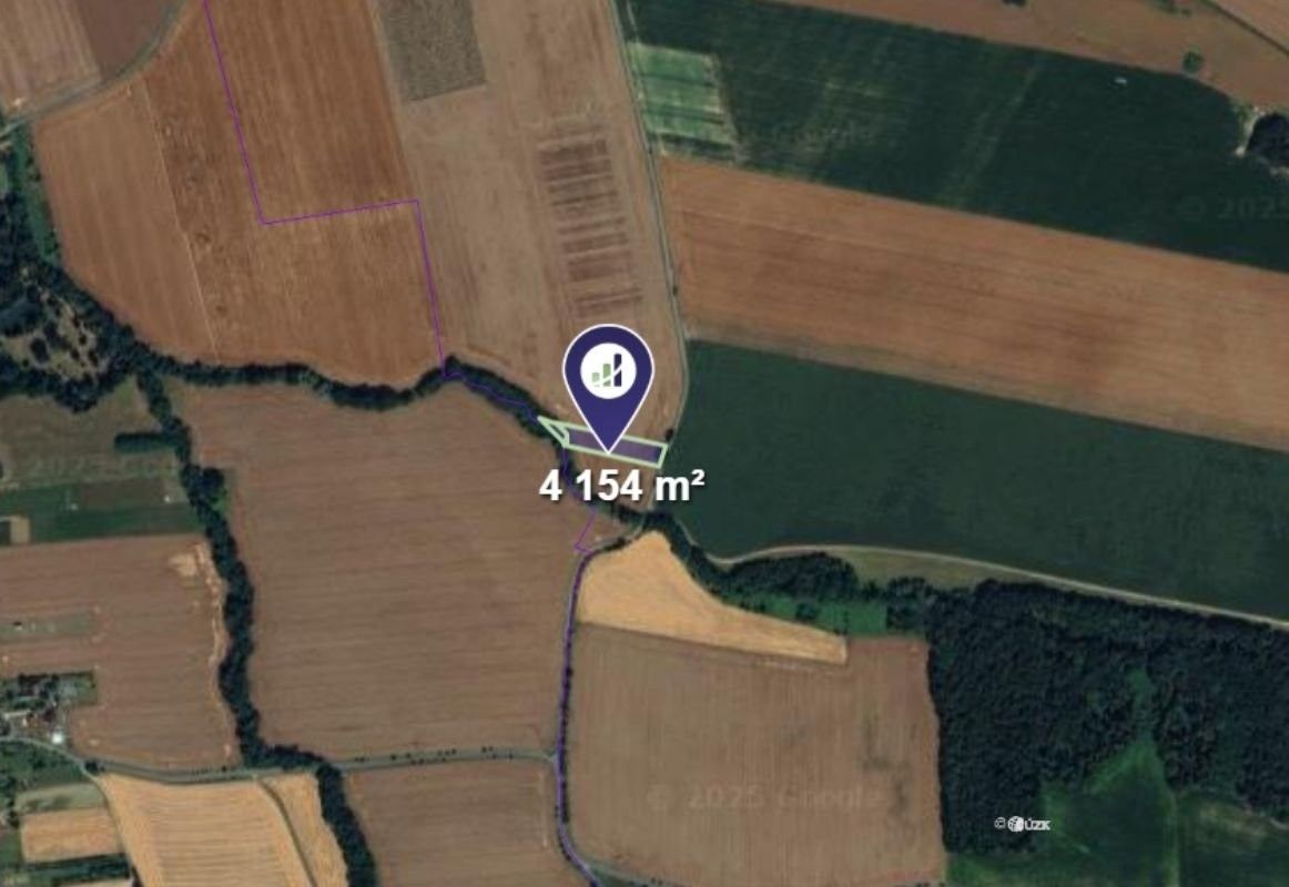 Prodej zemědělský pozemek - Zámrsky, 4 154 m²