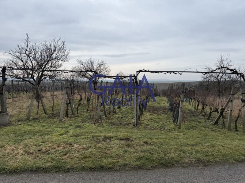 Prodej zemědělský pozemek - Svatobořice, Svatobořice-Mistřín, 2 942 m²