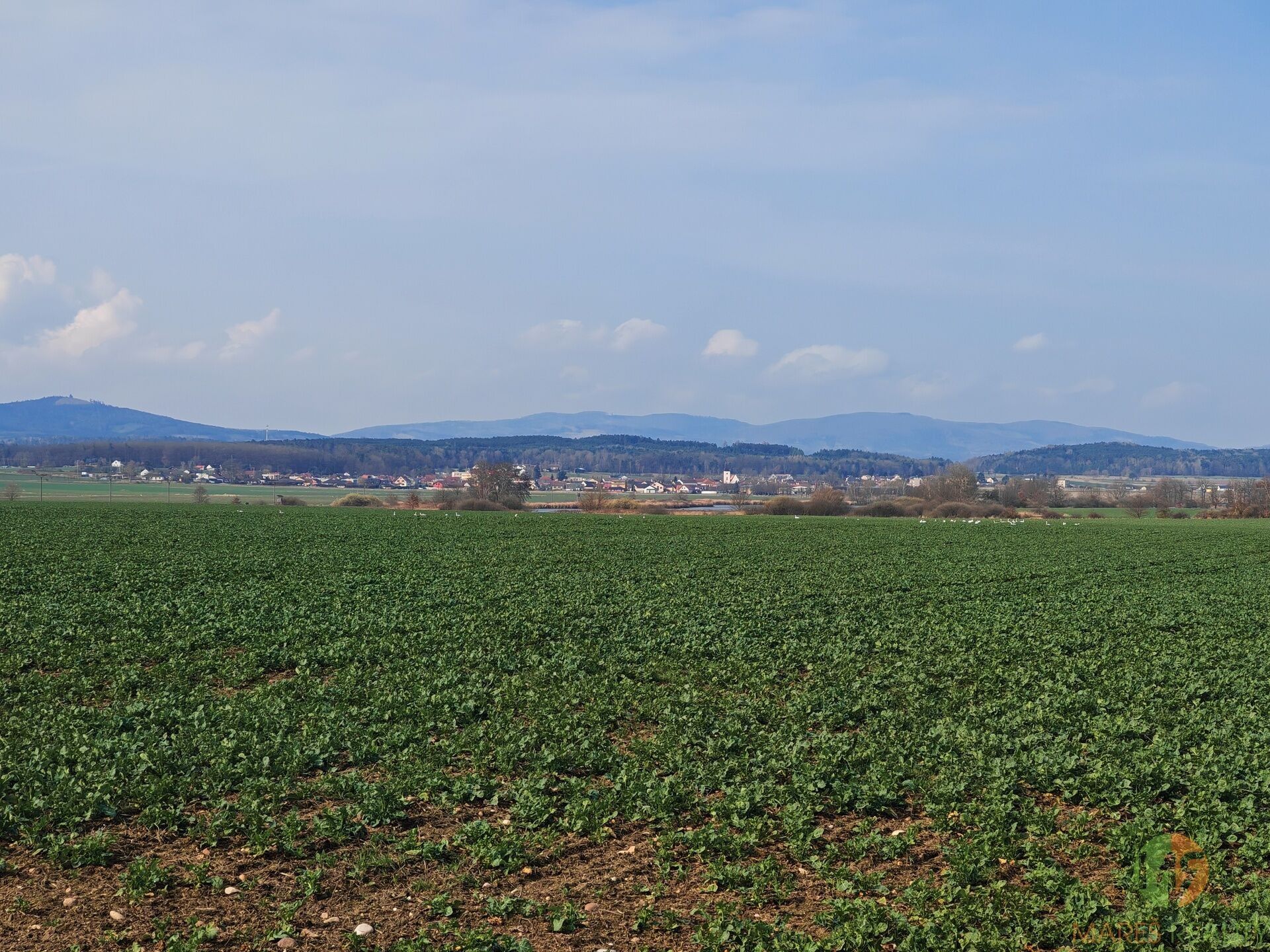 Pozemek pro bydlení · 1 985 m² · Branišov - 3