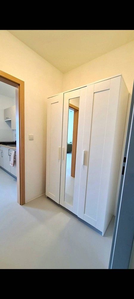 Byt 1+kk · 40 m² · Brno - Starý Lískovec, okres Brno-město, Jihomoravský kraj - 4