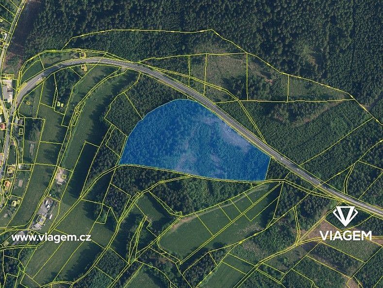 Les · Loužnice, okres Jablonec nad Nisou, Liberecký kraj - 3