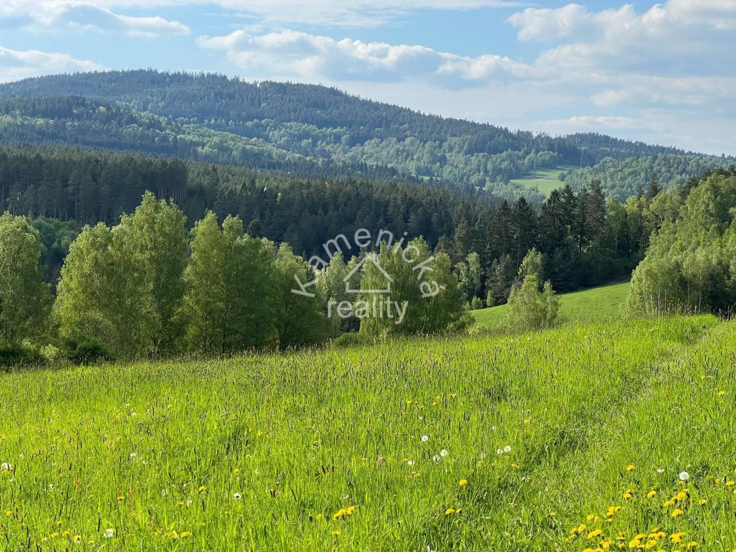 Pozemky pro bydlení, Malšín