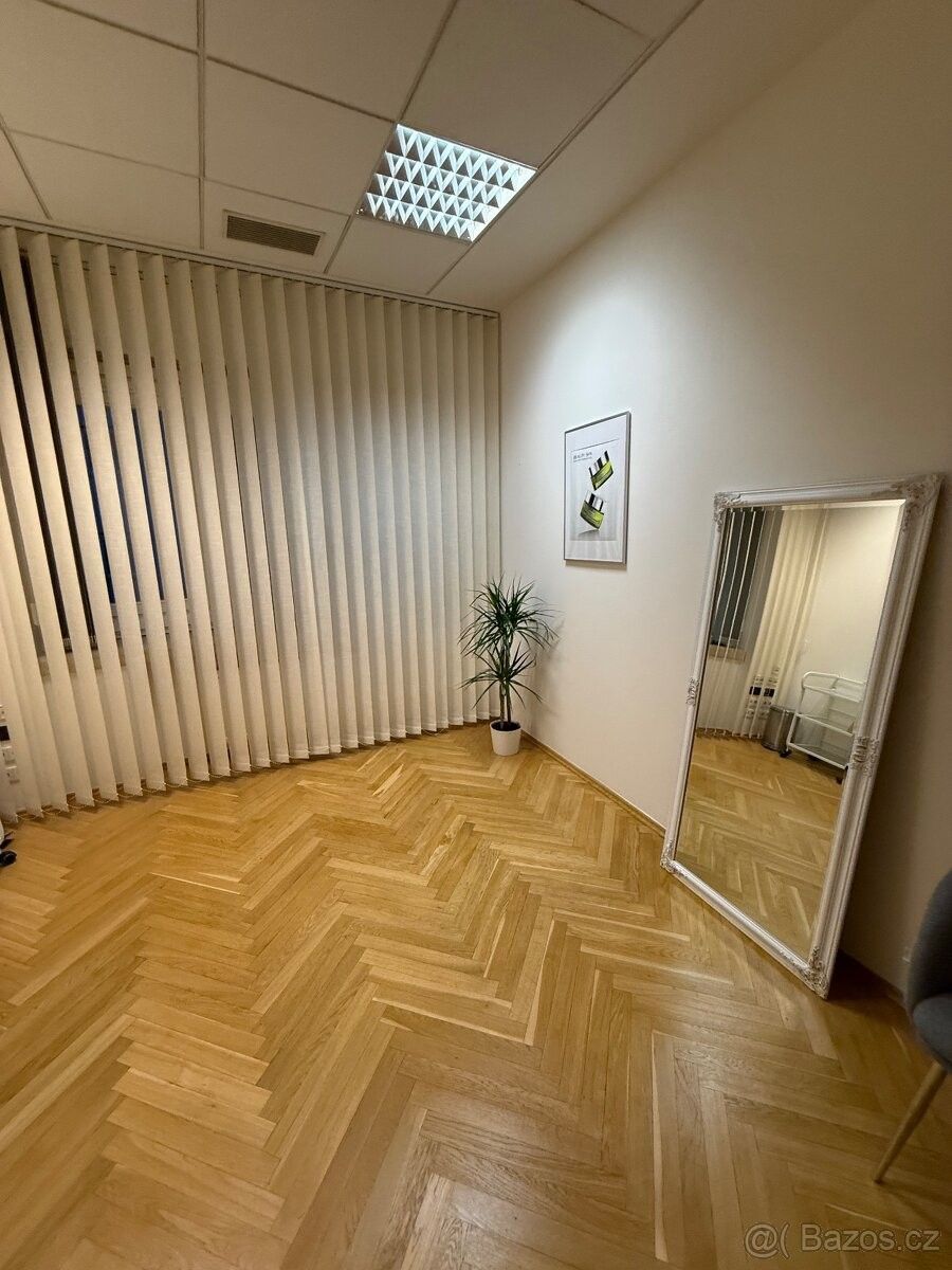 Pronájem ostatní - Praha, 110 00