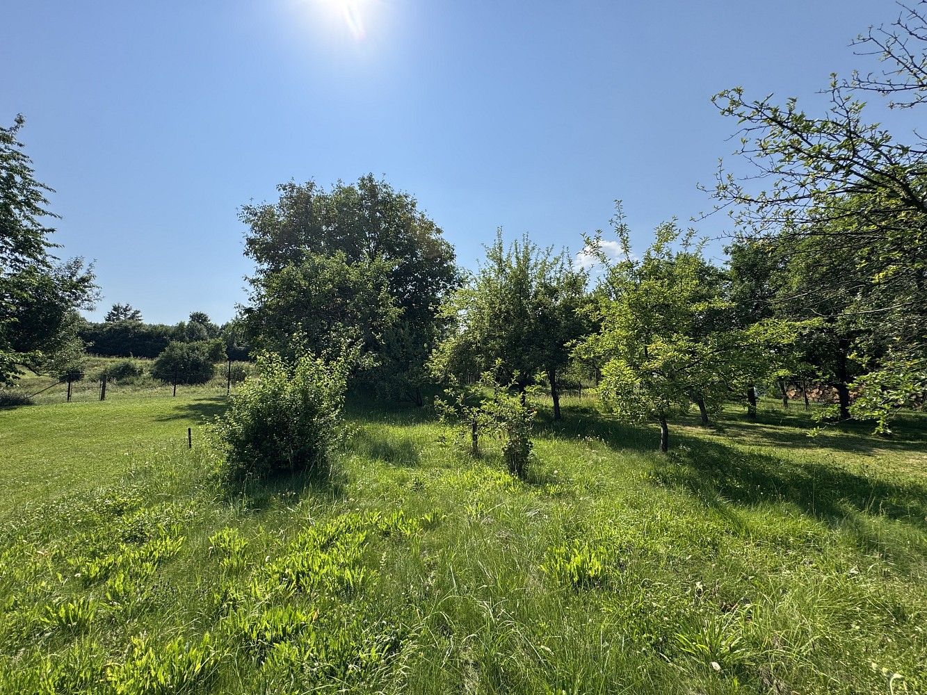 Pozemky pro bydlení, Rájec, okres Šumperk, Olomoucký kraj - 1