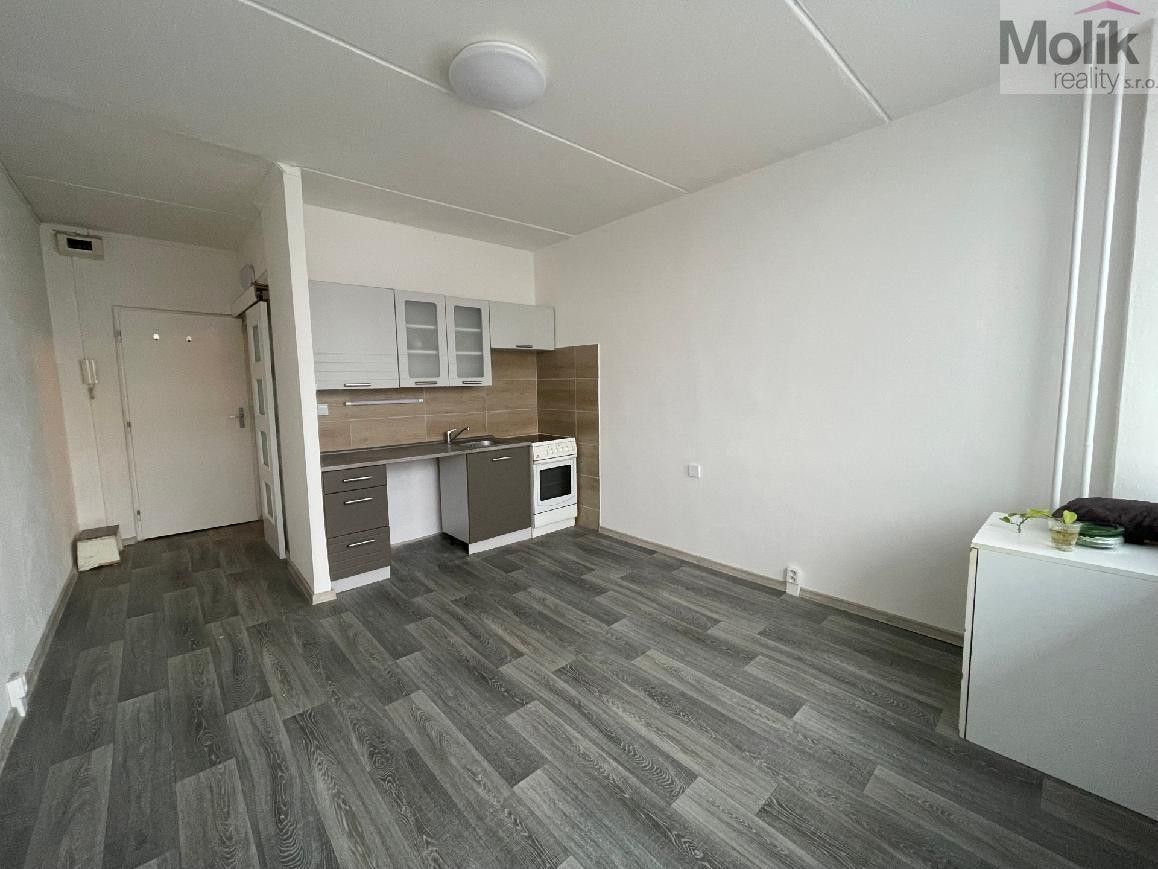 1+kk, M. G. Dobnera, Most, 21 m² - 2