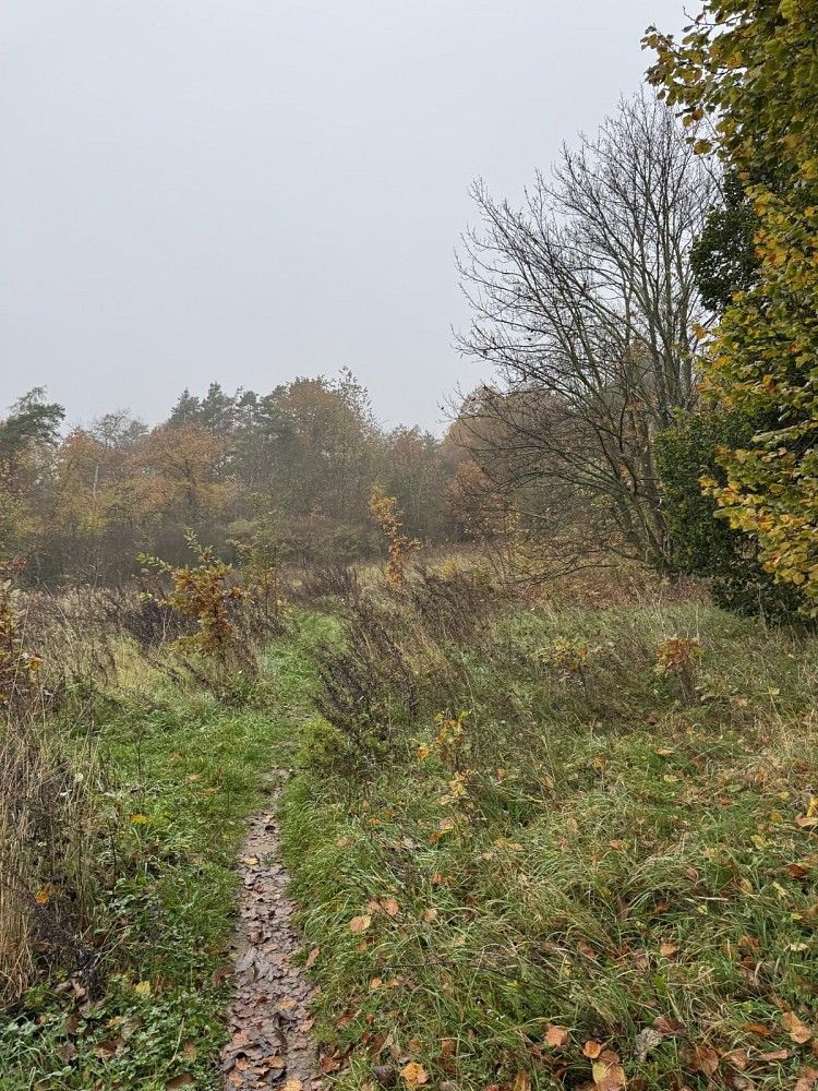 Ostatní, Průhonice - Nýřany, okres Praha-západ, Středočeský kraj - 2