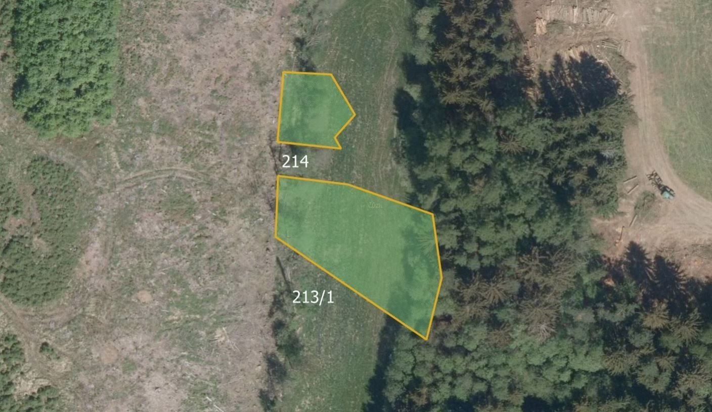 Prodej zemědělský pozemek - Hlohov, Číhošť