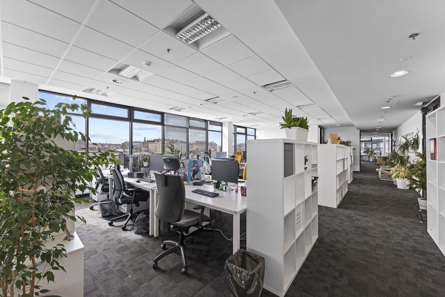 Pronájem kancelář - Praha, 353 m² - 5