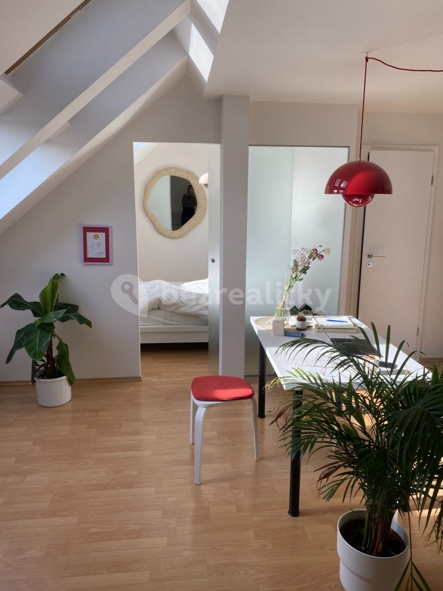 2+kk, Jirečkova, Praha - Holešovice, 48 m² - 1