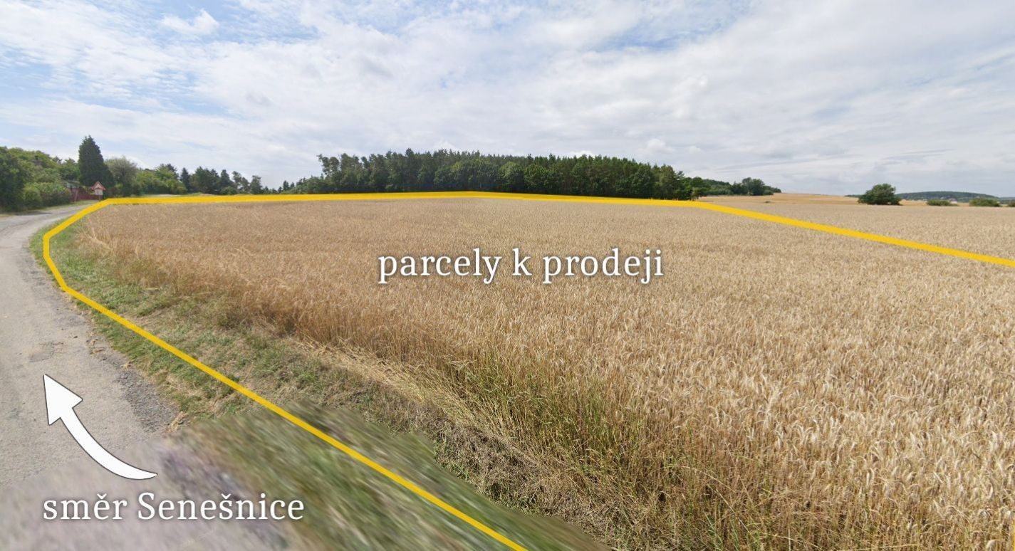 Prodej zemědělský pozemek - Bojanovice Senešnice - 2