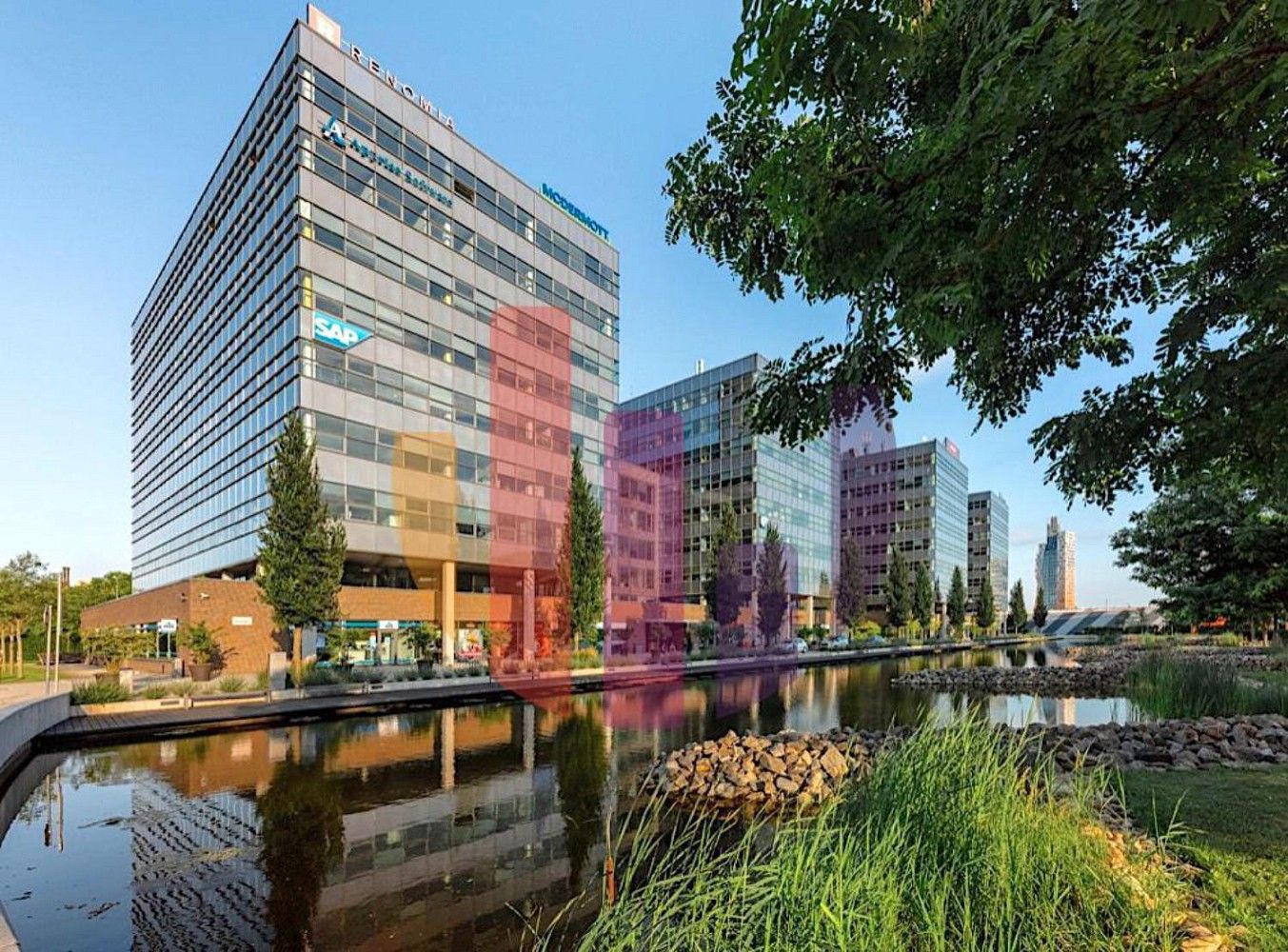 Pronájem kancelář - Brno - Štýřice, okres Brno-město, Jihomoravský kraj, 1 233 m² - 1