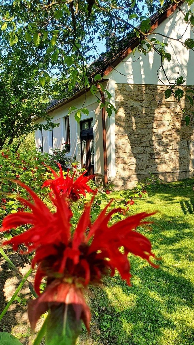 Chaty, Nová Bystřice - Senotín, Jihočeský kraj - 2