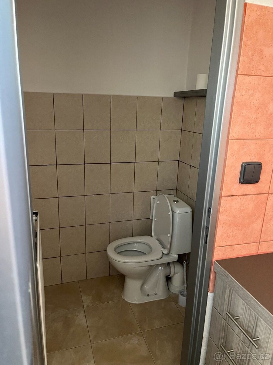Obchodní prostory · Mohelnice, 789 85 - 3