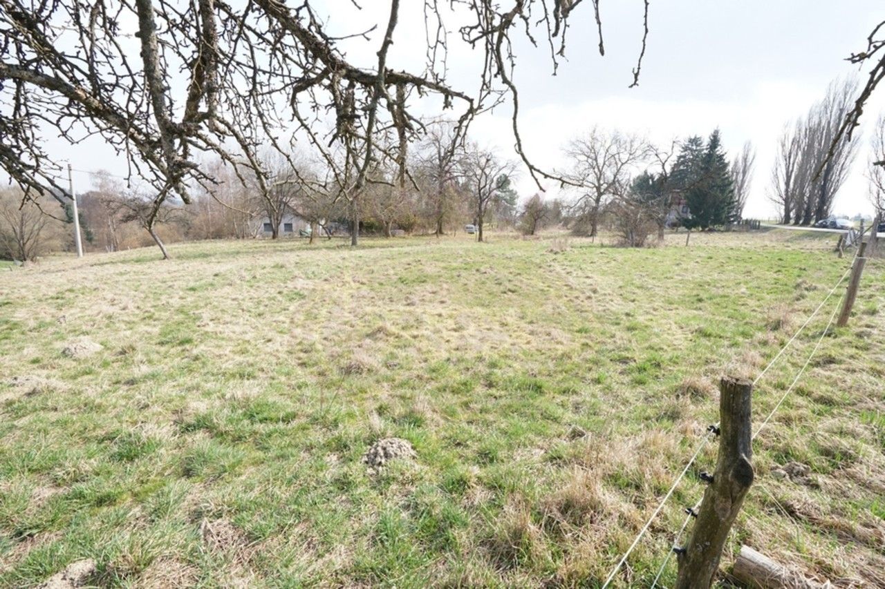 Pozemek pro bydlení · 1 m² · Proruby, Brzice - 3