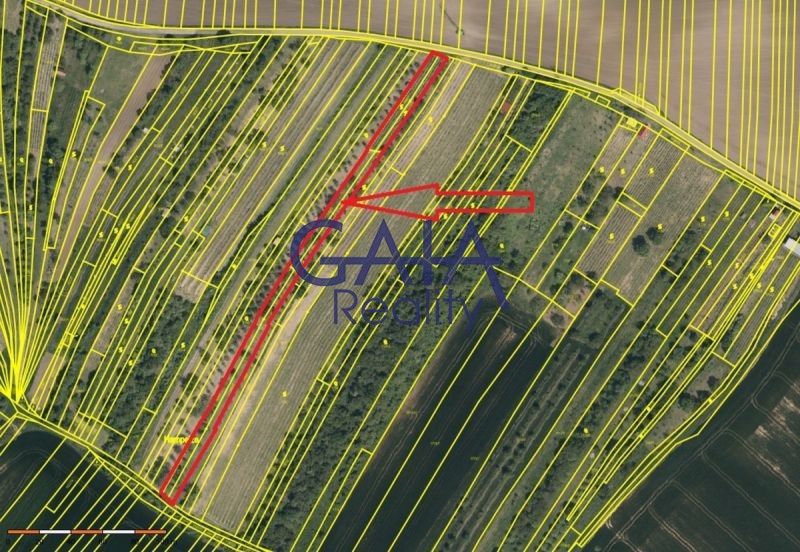 Zemědělské pozemky, Svatobořice, Svatobořice-Mistřín, 2 942 m²
