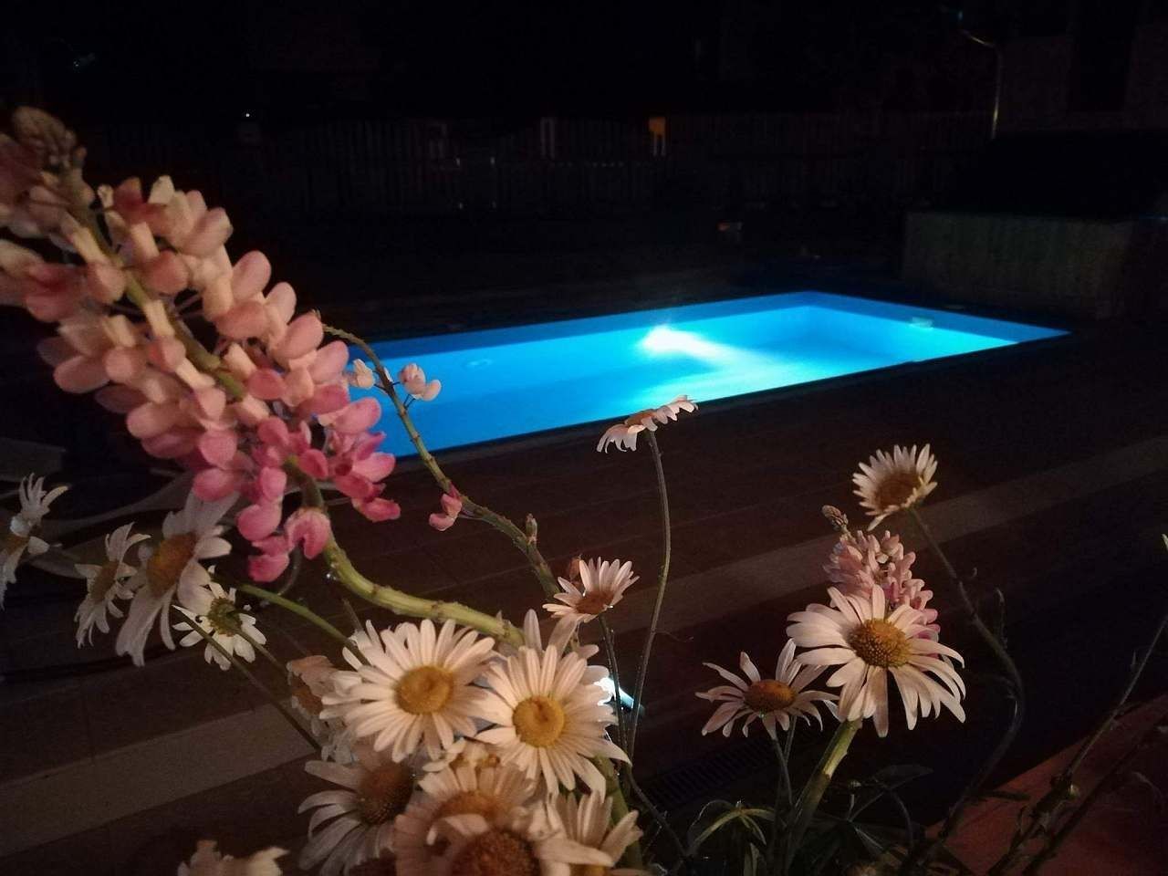 Chaty, Písečná u Žamberka, Pardubický kraj - 2