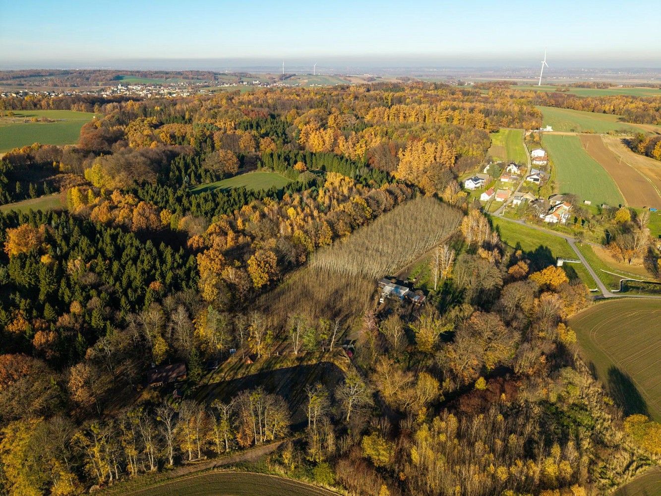 Pronájem komerční pozemek - Markvartovice, okres Opava, Moravskoslezský kraj - 1