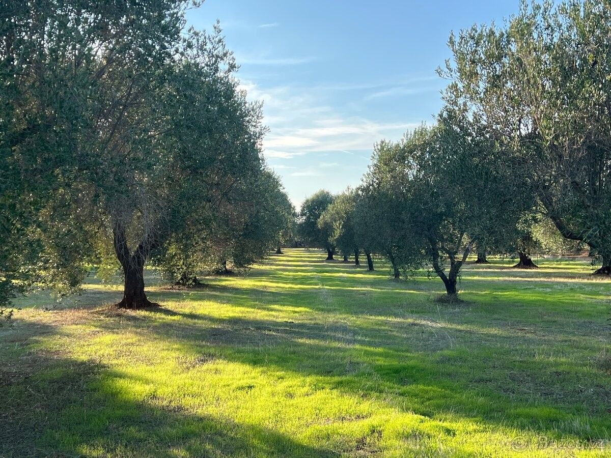 Chaty, Frýdek-Místek, 738 01