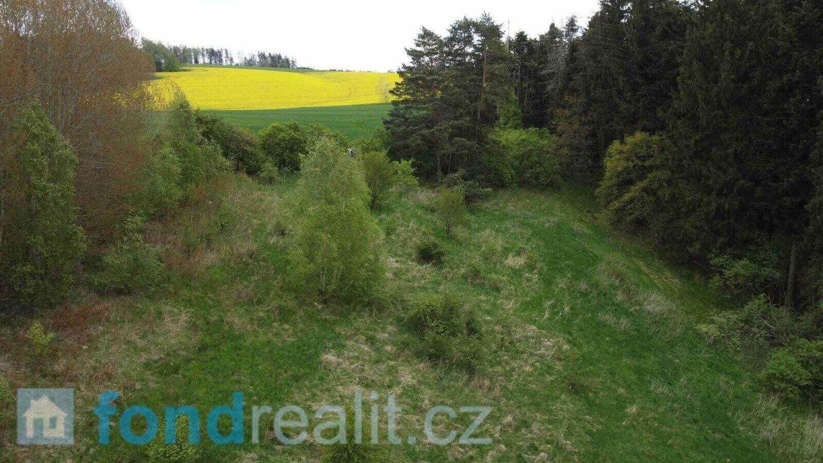 Prodej zemědělský pozemek - Křenov, 16 m²