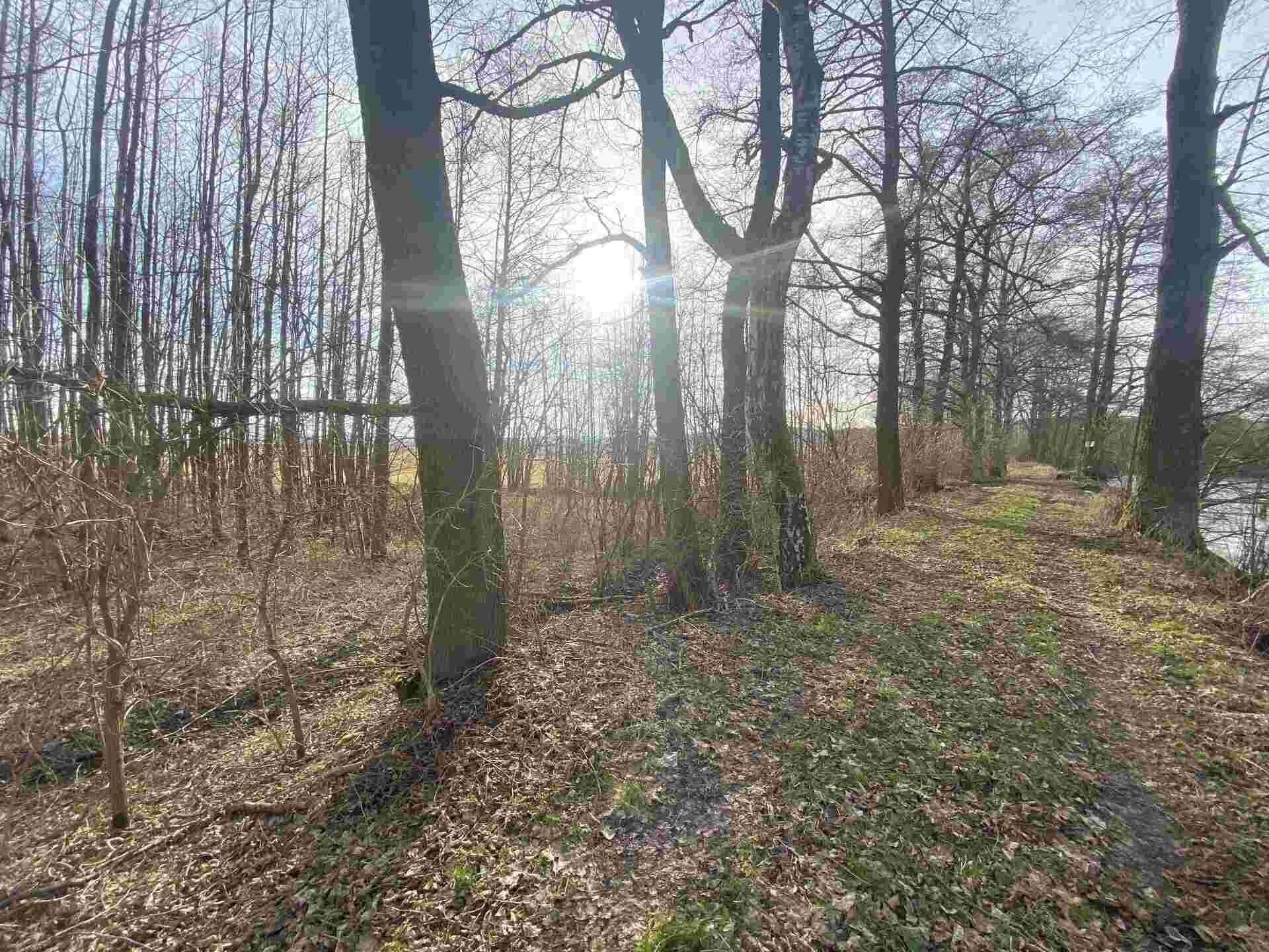 Pozemek · 1 109 m² · Trstěnice - 3