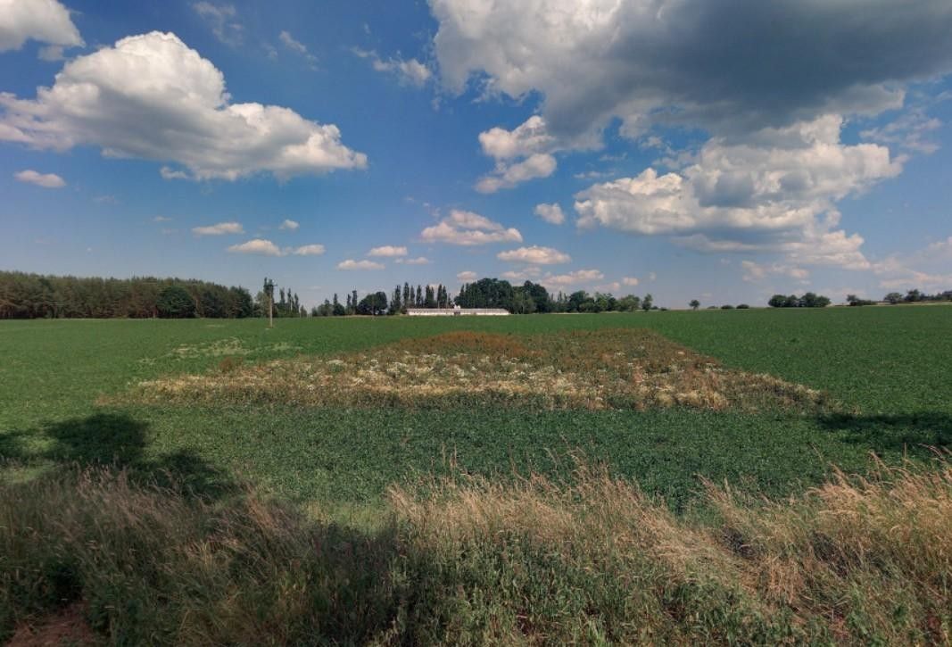 Zahrady, Kášovice, Řepeč, 1 434 m²