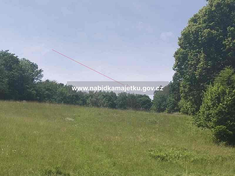 Prodej les - Ruda nad Moravou, okres Šumperk - 2