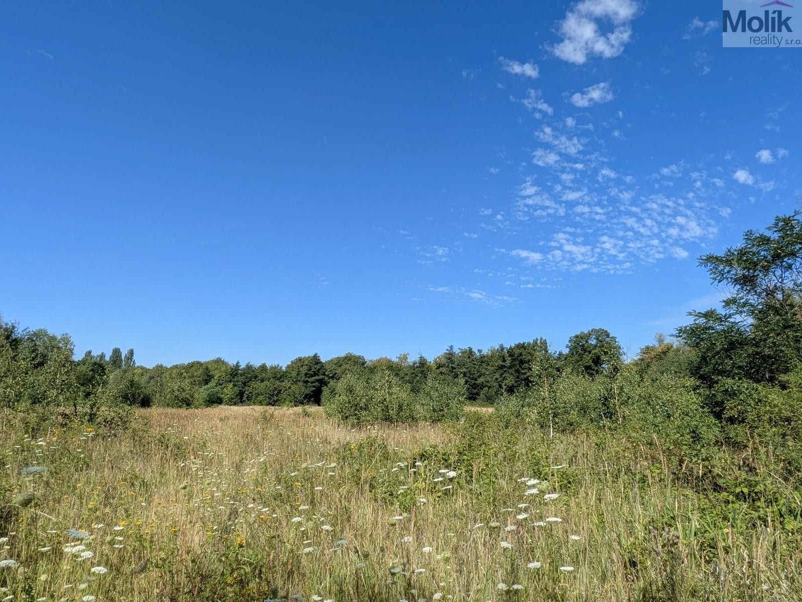 Prodej pozemek pro bydlení - Mariánské Radčice, 1 155 m² - 5
