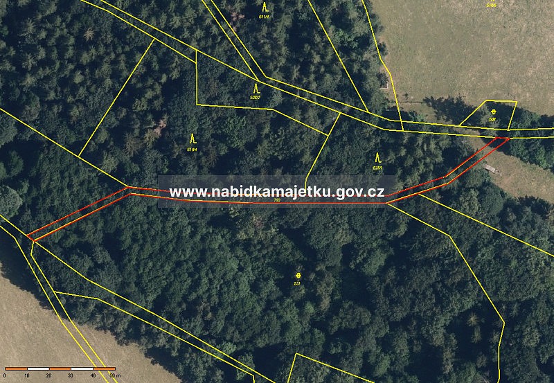 Les · Ruda nad Moravou, okres Šumperk - 3