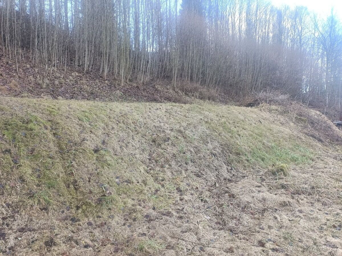 Obchodní prostory · Teplice nad Metují, 549 57 - 3