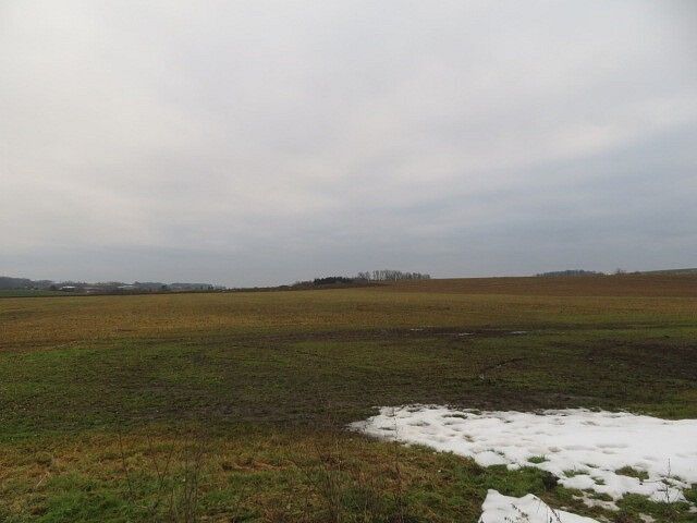 Louka · Račice nad Trotinou - 3