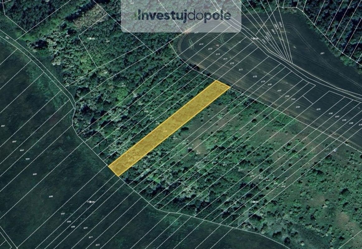 Louky, Velké Němčice, 2 897 m²