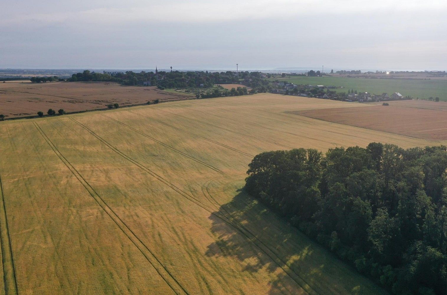 Prodej zemědělský pozemek - Horní Slivno, okres Mladá Boleslav, Středočeský kraj - 5