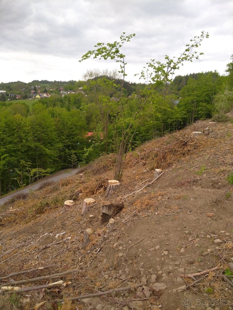 Pozemky pro bydlení, Benešov u Semil, 512 06