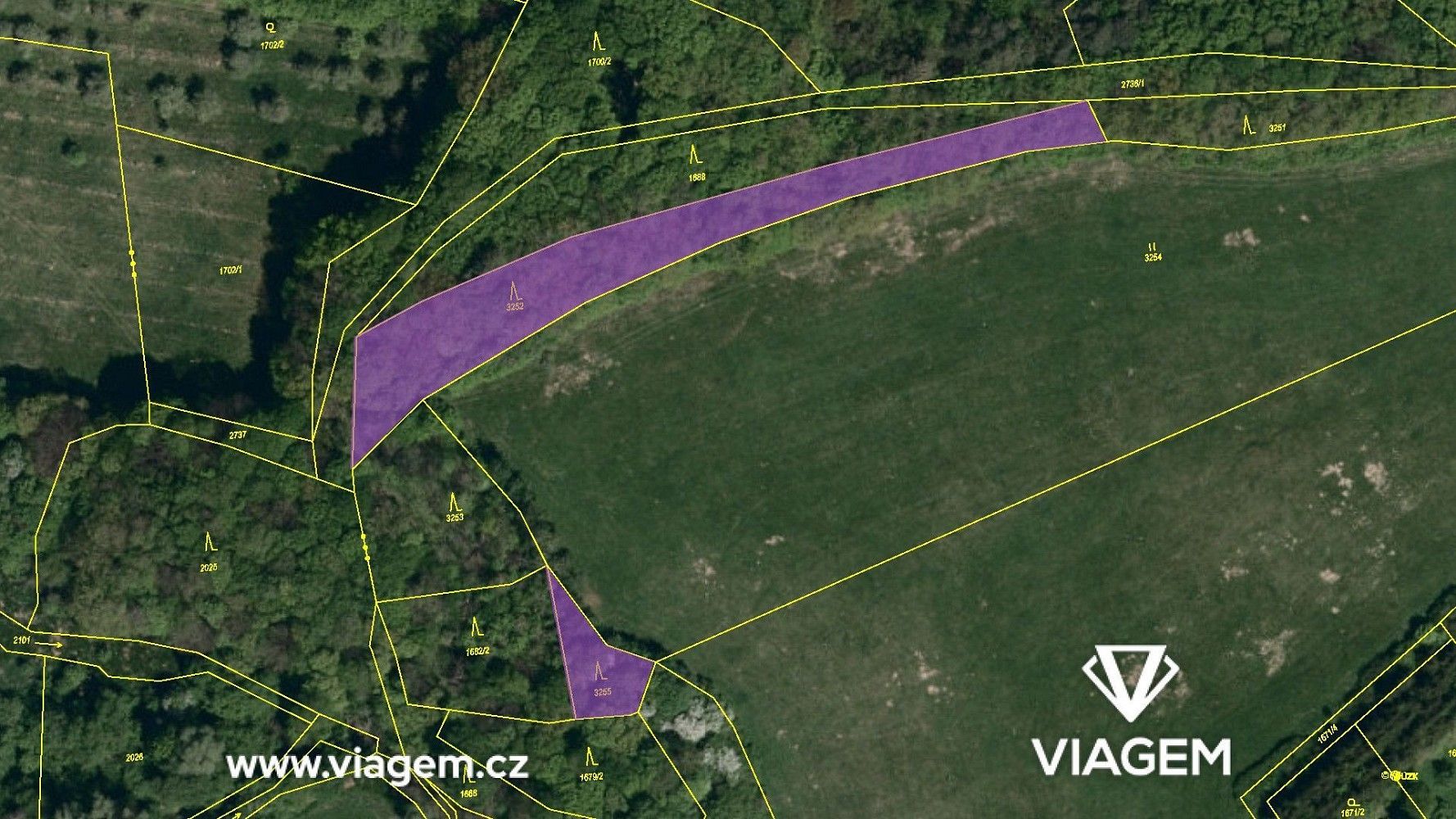 Les · Bohuslavice nad Vláří, okres Zlín, Zlínský kraj - 4