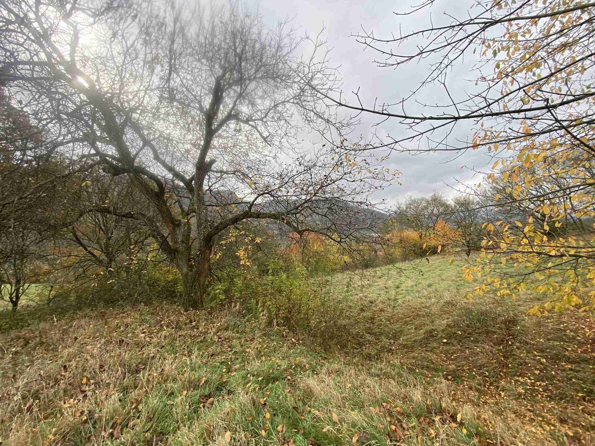 Prodej pozemek - XXVII-Březiny, Děčín, 4 m²