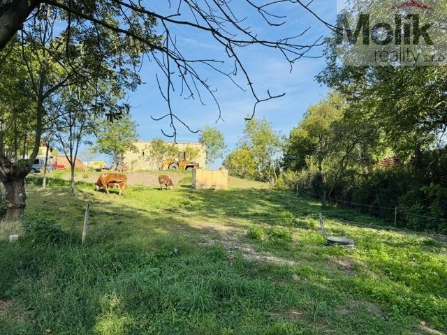 Pozemek pro bydlení · 852 m² · Lipenec, Lipno - 3