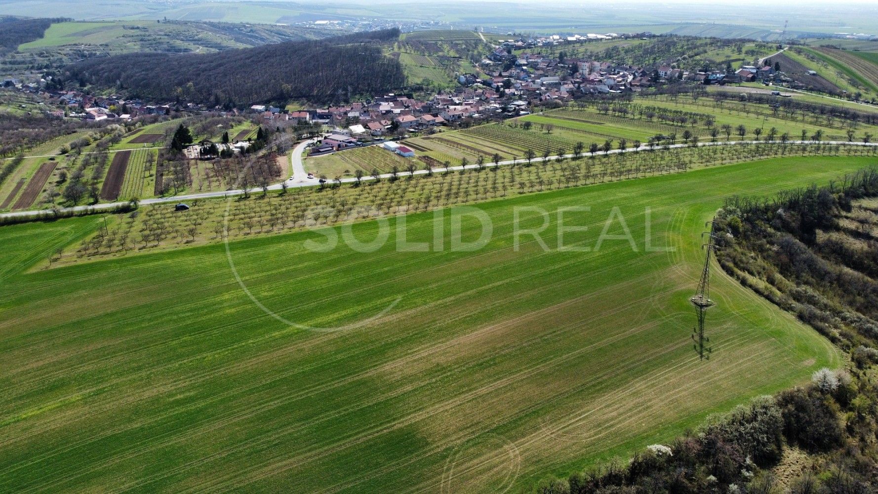Prodej zemědělský pozemek - Horní Bojanovice, okres Břeclav, Jihomoravský kraj - 2