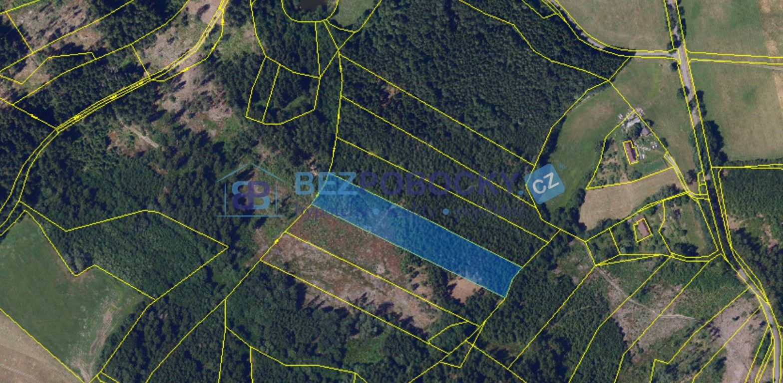 Lesy, Vysočina, 26 m²