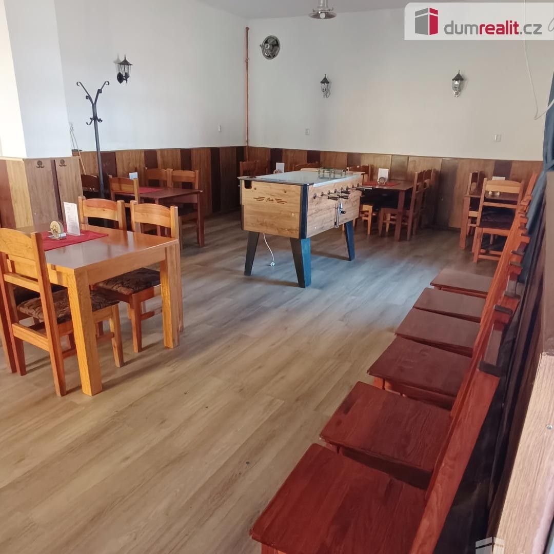 Pronájem restaurace - Vilsnická, Děčín, 260 m² - 5