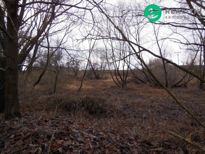 Prodej pozemek pro bydlení - Konstantinovy Lázně, 349 52