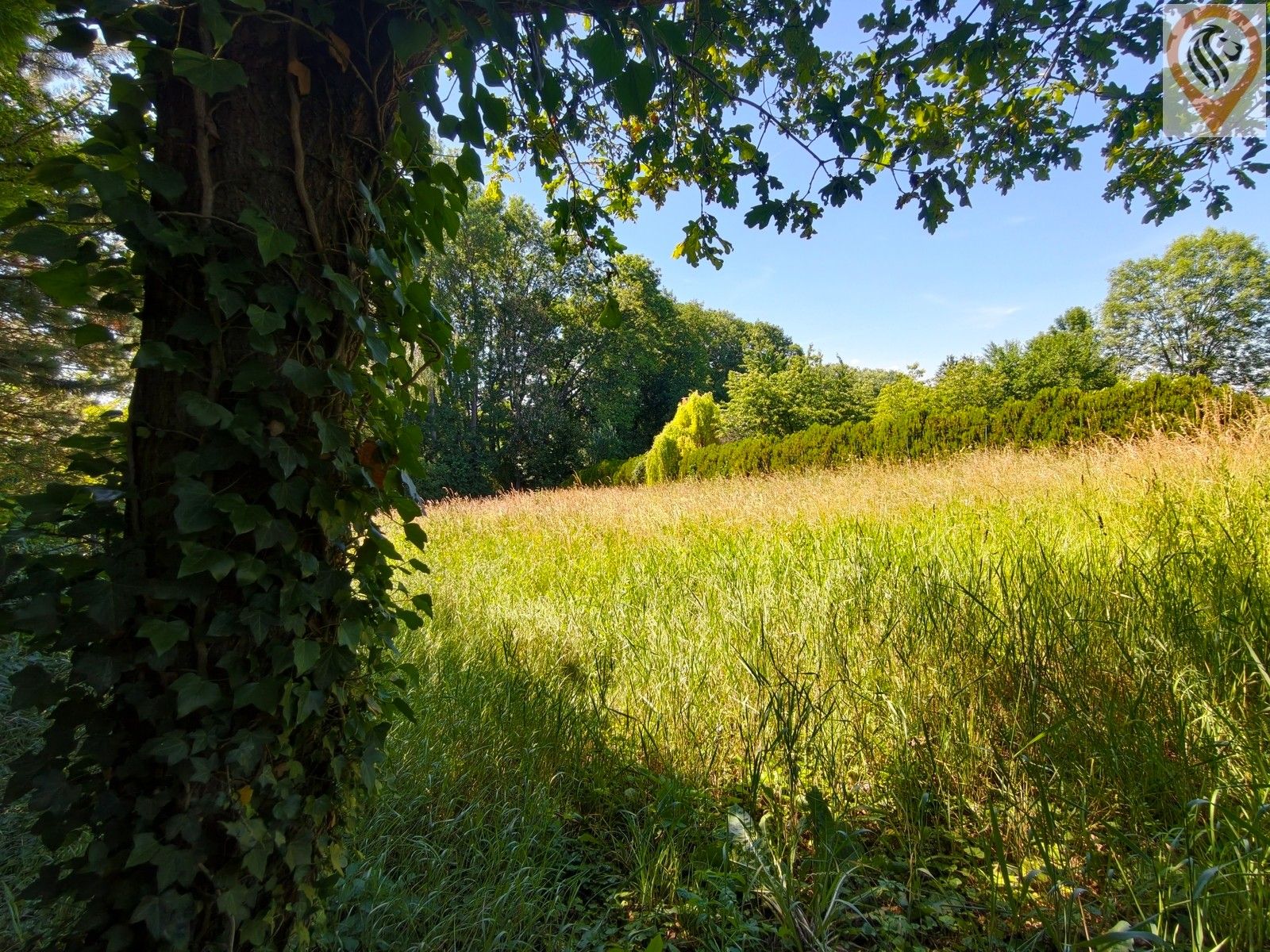 Prodej pozemek pro bydlení - Barchov, 2 410 m² - 5