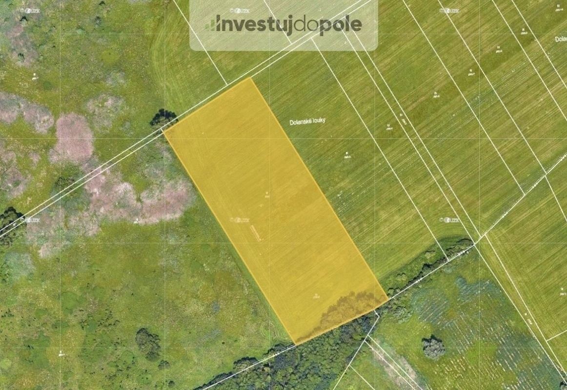 Prodej zemědělský pozemek - Dolany, 7 632 m²
