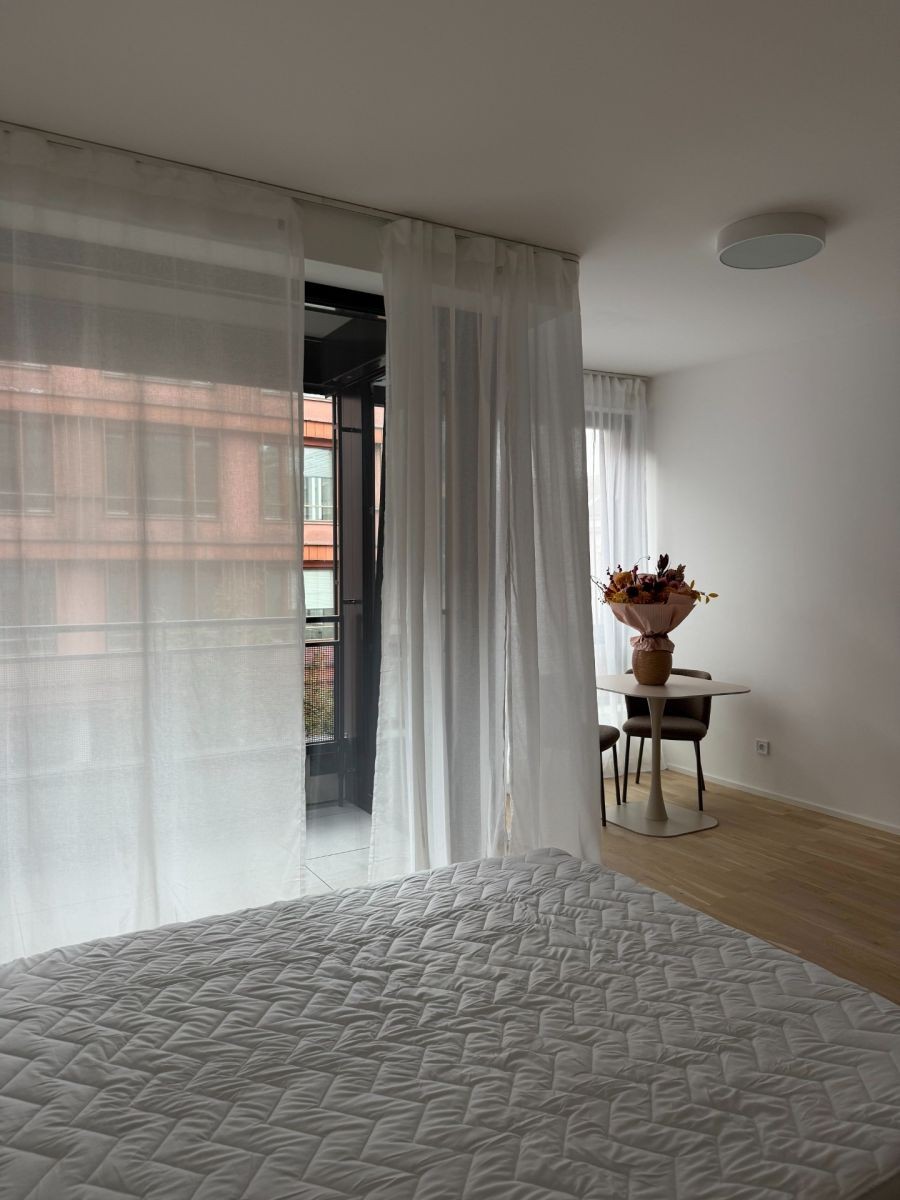1+kk, Hartigova, Praha - Žižkov, 39 m² - 2