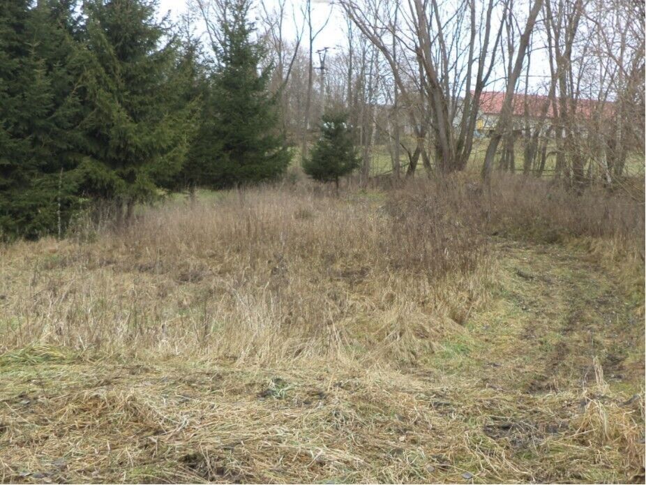 Ostatní, Horní Planá, 1 390 m² - 2