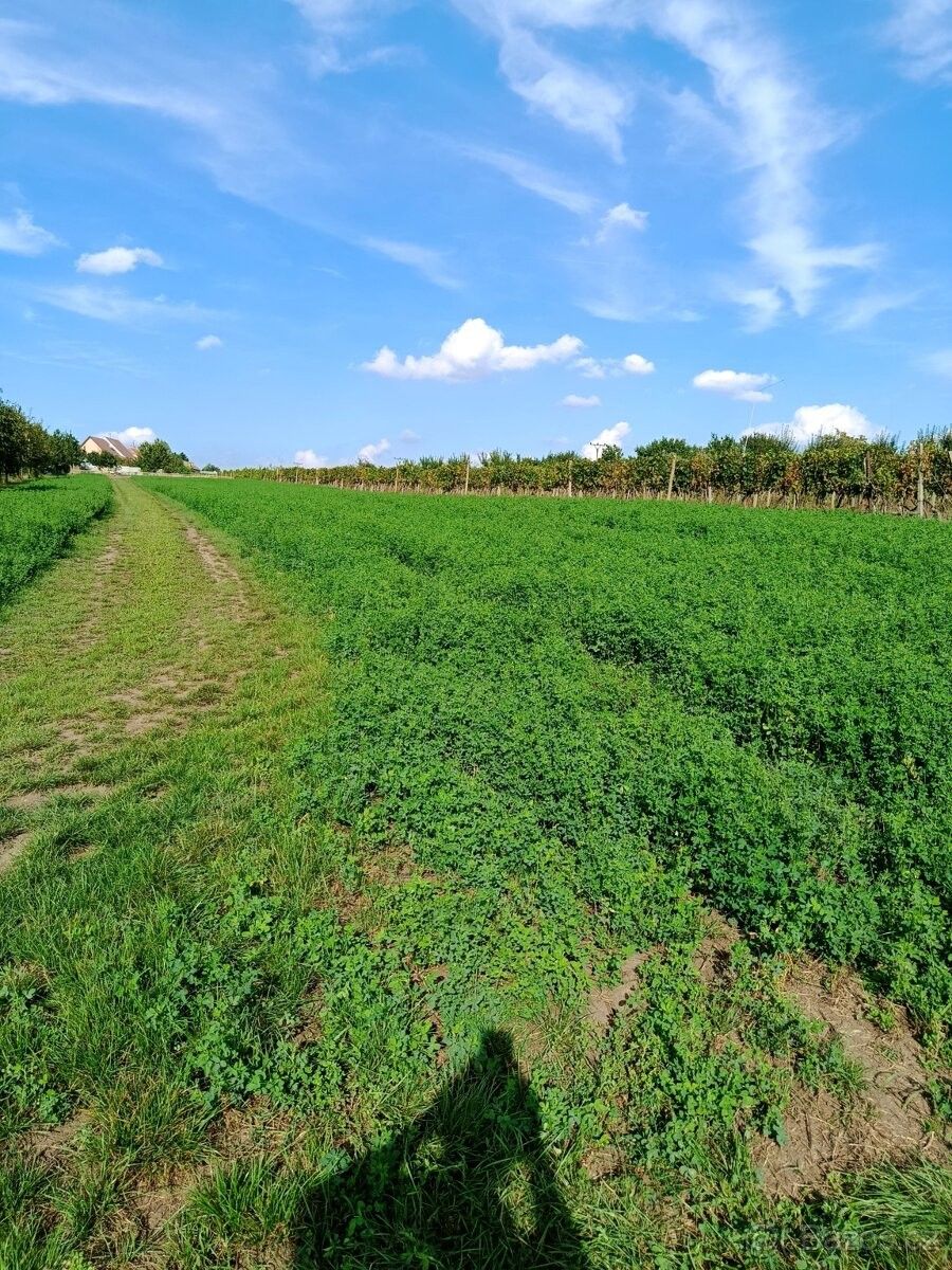 Prodej zahrada - Starý Poddvorov, 696 16