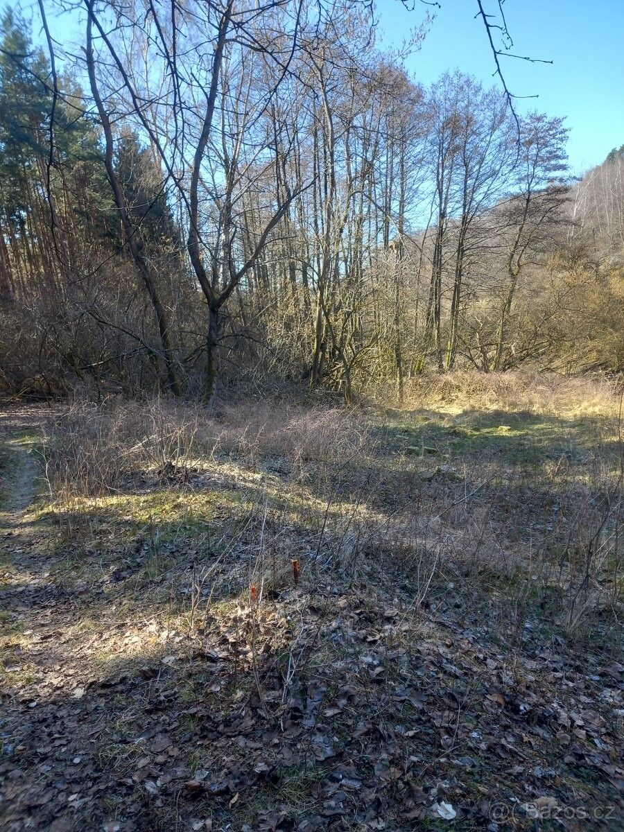 Pozemky pro bydlení, Klokočná, 251 64