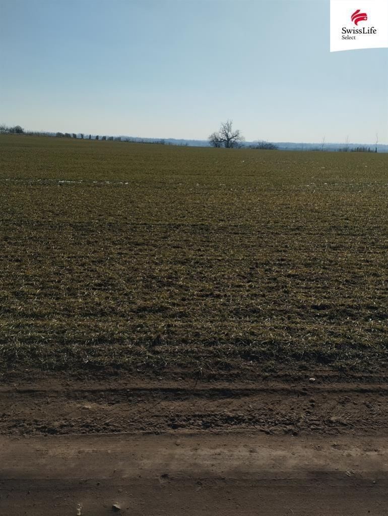 Prodej pozemek pro bydlení - Hrušovany nad Jevišovkou