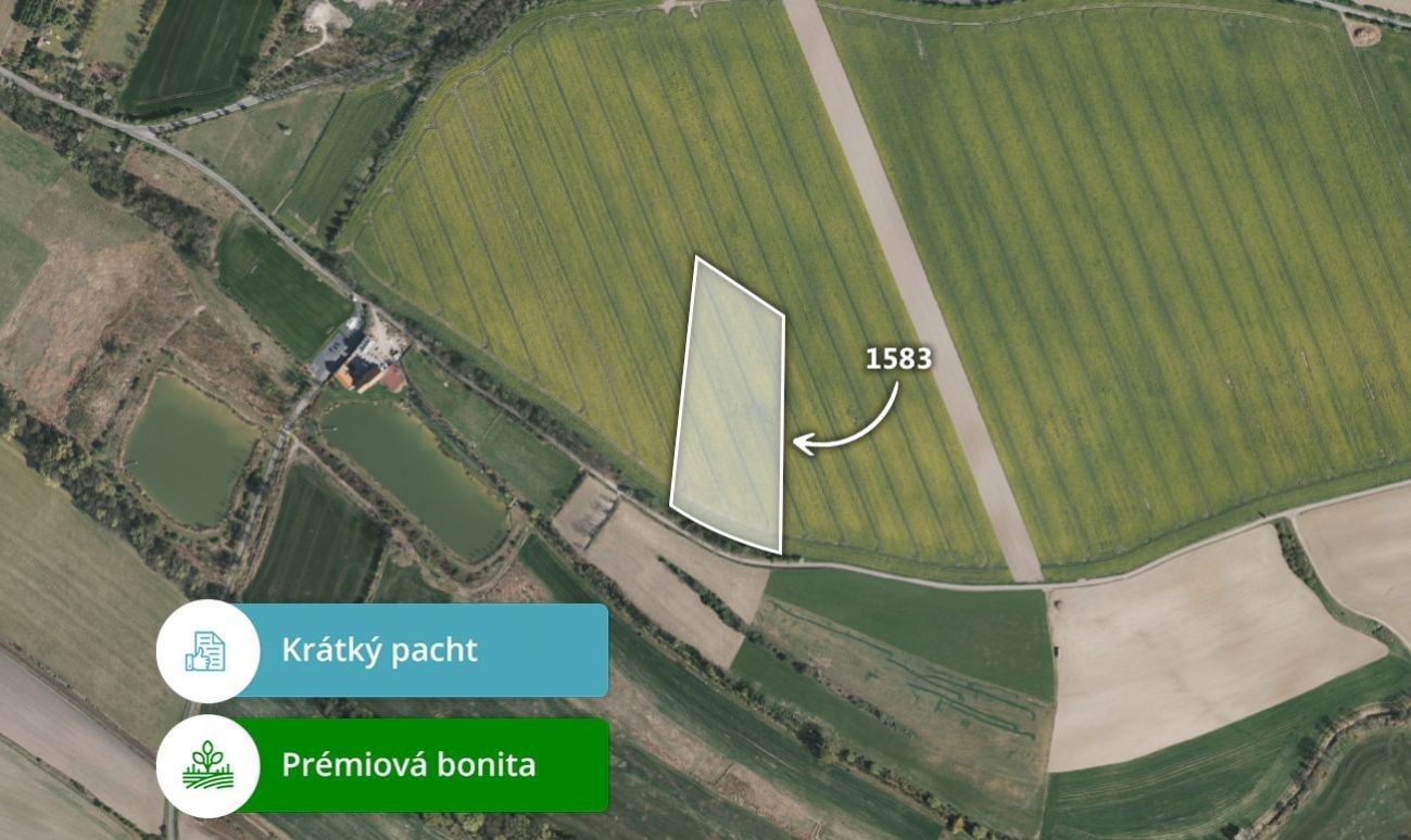 Zemědělské pozemky, Byšice, 13 180 m²