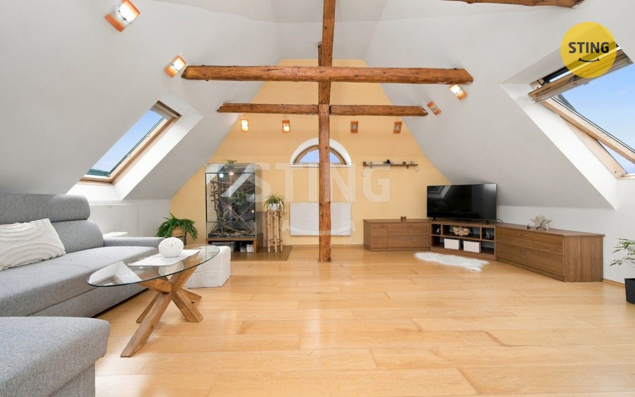 Ostatní, Jesenická, Staré Město, 428 m² - 2