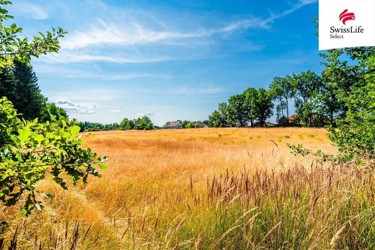 Komerční pozemky, Rodvínov, 11 m²